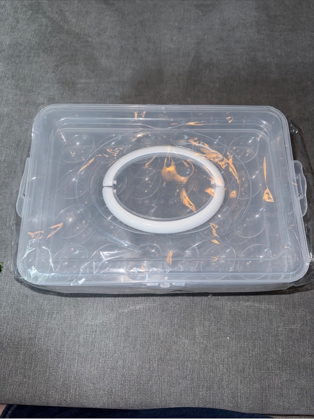 Clear Plastic Egg Storage Container with White Handle - 72 Eggs